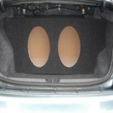 Car Alarms & Remote Starts